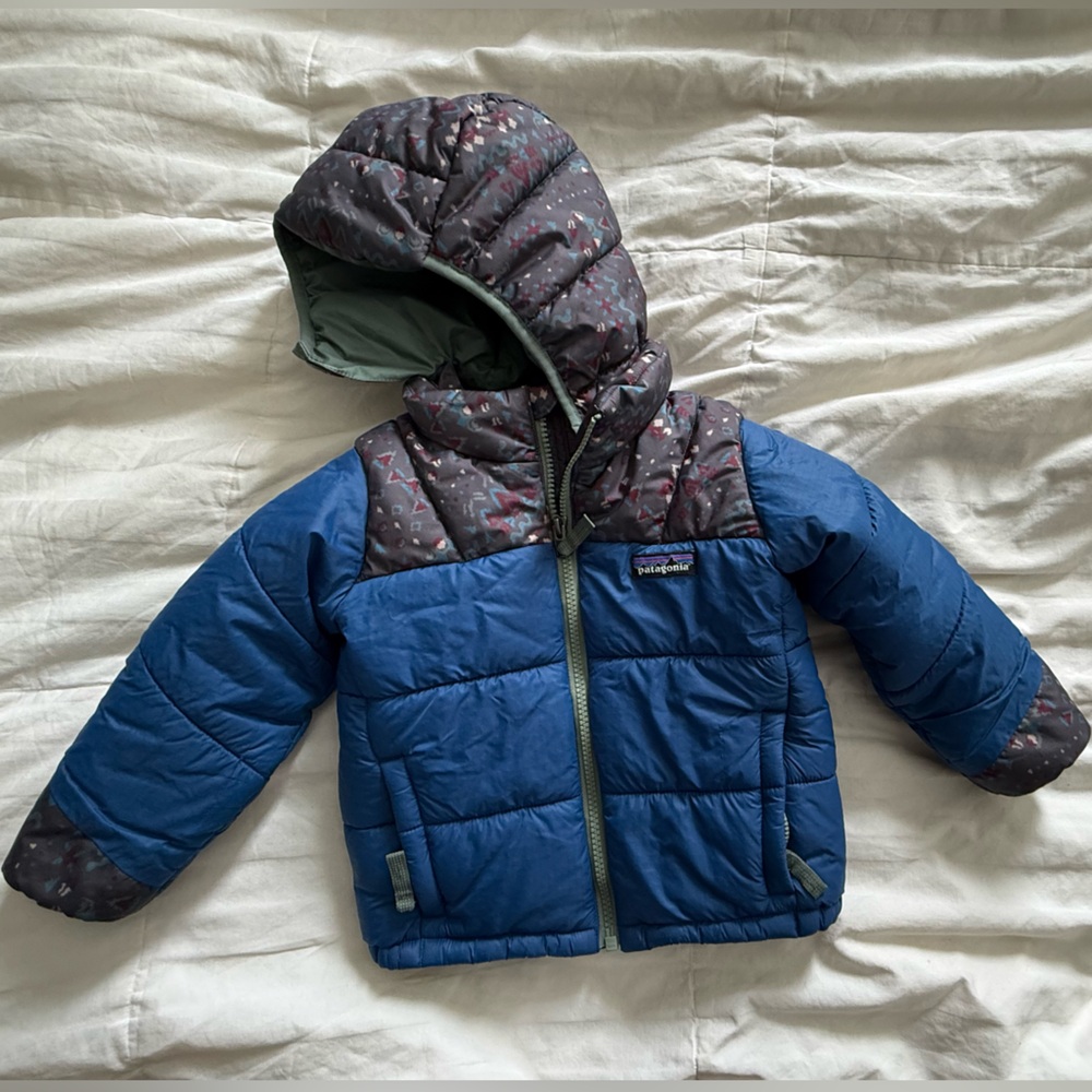 Patagonia Multicolor Puffer Jacket